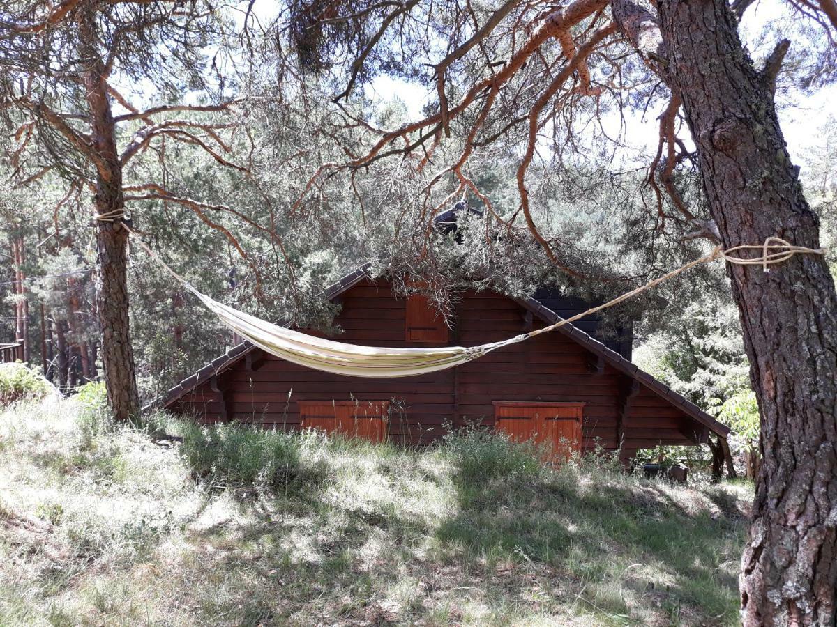 Canon Del Rio Lobos-La Cabana De Ton San Leonardo de Yagüe エクステリア 写真